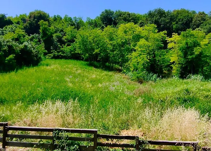 Apartman A Due Passi Dal Mare